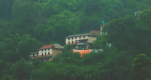 nagarkot-yoga-homestay-retreat-in-nagarkot-bhaktapur-kathmandu-nepal